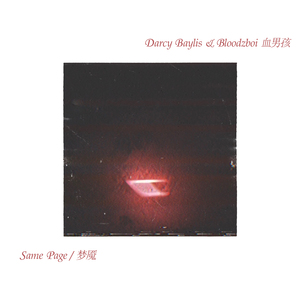 矢部寿惠的作品番号
