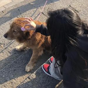 矢部寿惠的作品番号
