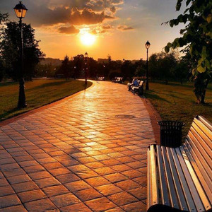 矢部寿惠的作品番号
