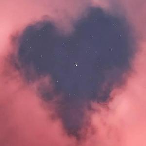 矢部寿惠的作品番号
